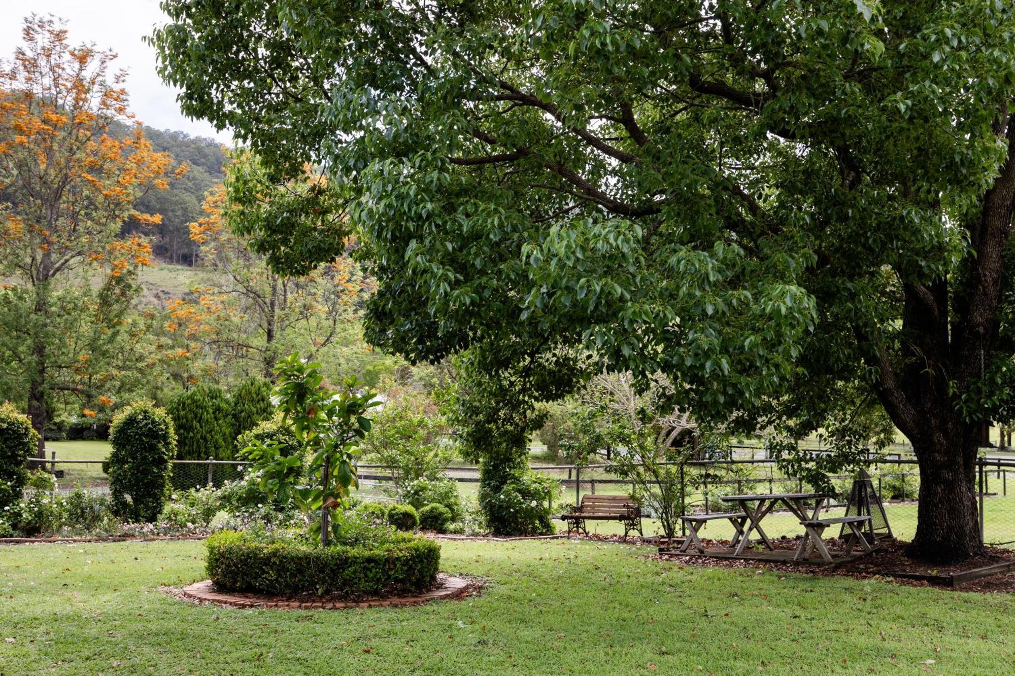 Cottage On Lamington Canungra Exterior photo